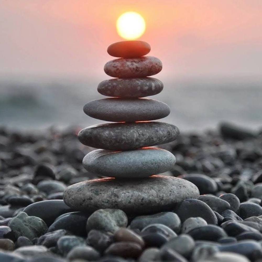 Meet your Posher, Liz